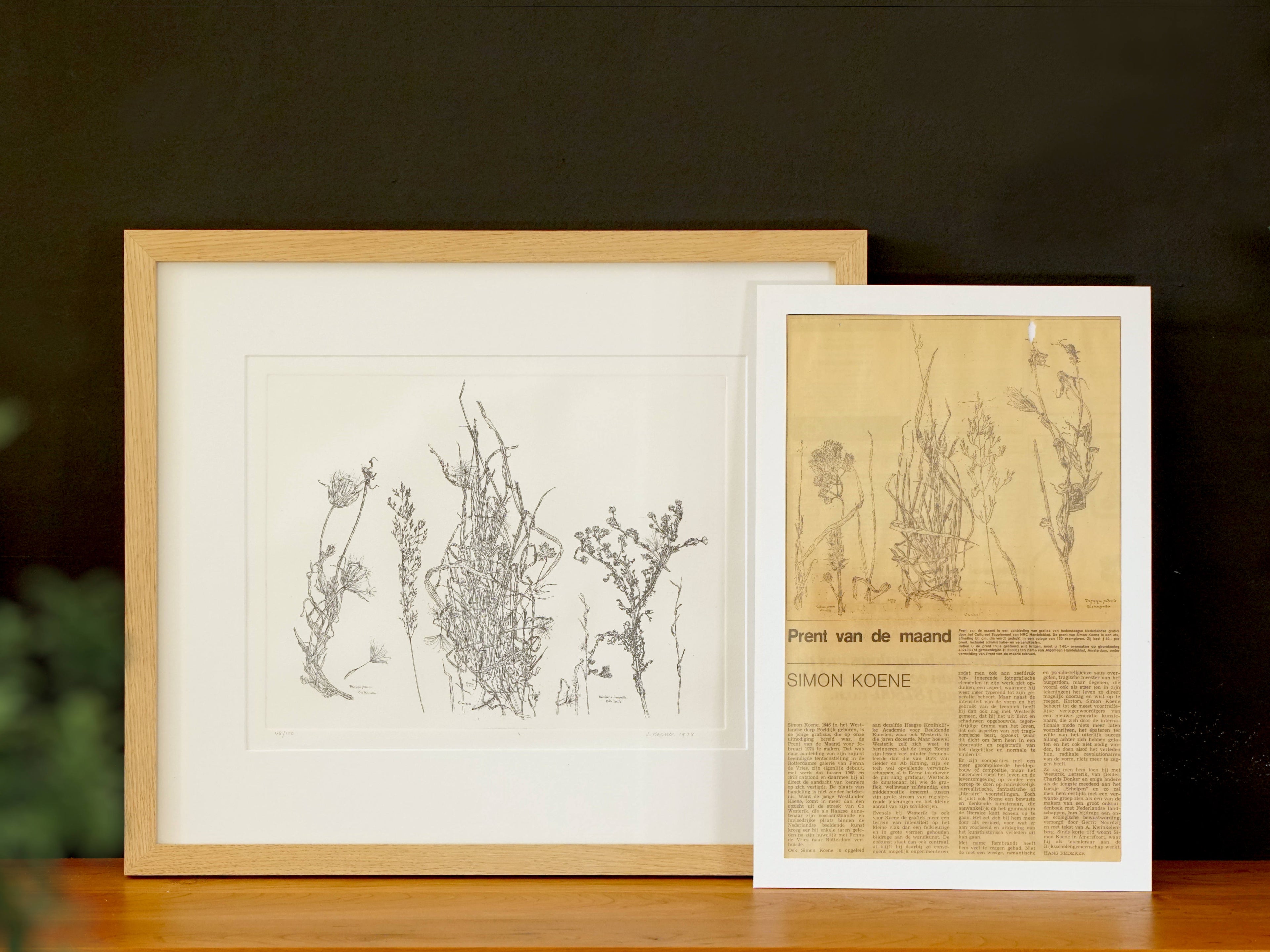 Simon Koene recovered print, framed in Oak